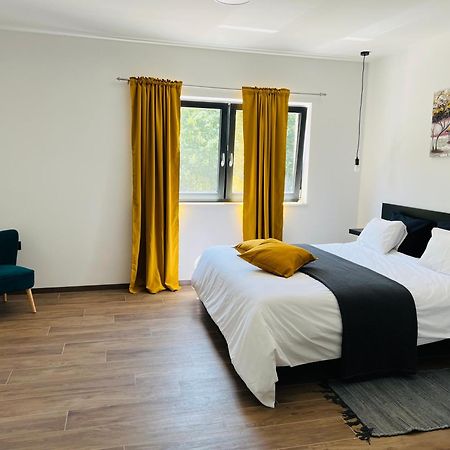 Vila Prisunca Jacuzzi & Swimming Pool Пазин Екстериор снимка